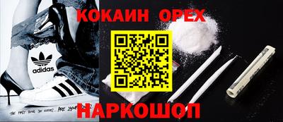 гашик Кузнецк
