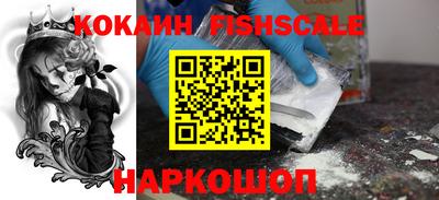 гашик Кузнецк