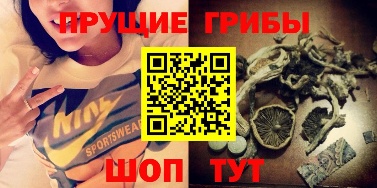 Гусь-Хрустальный  Псилоцибиновые грибы Psilocybine cubensis  Псилоцибиновые грибы прущие грибы  Вход с VPN 